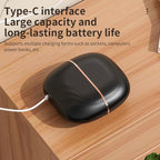 Mini Straightener - 3-Speed Temperature Control Rechargeable Hair Straightener Brush,Anti Scald Shell，Lightweight Portable Heatable Home Travel Gifts (1)