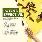 Gya Labs Clove Essential Oil - 0.34 Fl Oz - for Hair, Skin, Diffuser, Aromatherapy & DIY Candle Making Scent