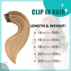 SURNEL Clip in Human Hair Extensions Golden Brown to Honey Blonde Balayage Clip in Hair Extensions 20 Inch 6pcs 120g (#10/27/27,20'')