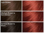 SoftSheen-Carson Dark and Lovely Fade Resist Rich Conditioning Hair Color, Permanent Hair Color, Up To 100 percent Gray Coverage, Brilliant Shine with Argan Oil and Vitamin E, Berry Burgundy
