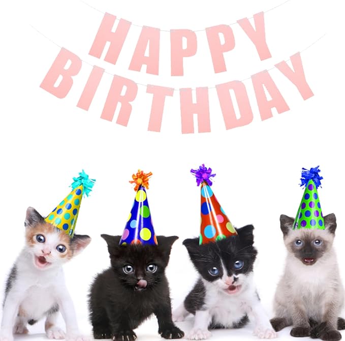 MEETINGU Pink Happy Birthday Banner, Theme Party Decoration Supplies - Image 7