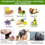 Dexe Hair Dye Shampoo 14.1 Fl Oz, Gray Hair Coverage, Black Hair Dye, Hair Color Shampoo, Black Hair Shampoo for Men & Women
