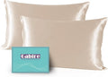 Mulberry Silk Pillow Cases Set of 2, Both Sides Real Silk Pillowcase for Hair and Skin Prevent Acne Pillowcase Organic Silk Pillowcase 2 Pack with Hidden Zipper, Champagne, Standard (20"×26")
