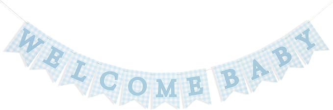 Blue Gingham Welcome Baby Shower Banner - Image 4