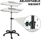 Salon Rolling Tray, Height Adjustable Tattoo Tray Rolling Cart, Storage Utility Trolley for Spa, Beauty Salon Service, Hairdresser Cart with Wheels, Black (Silver)