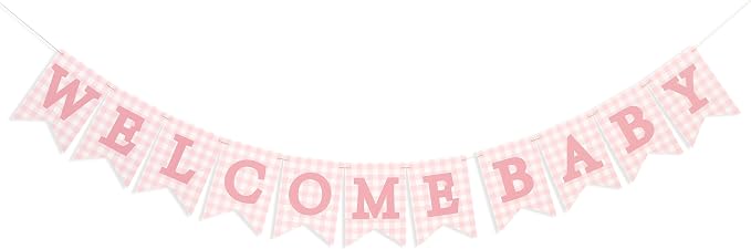 Pink Gingham Welcome Baby Shower Banner - Image 5