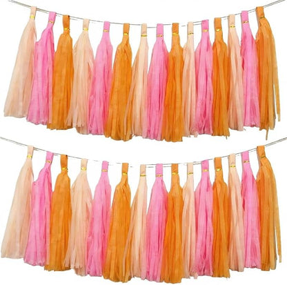 We Moment Pink Orange Peach Tissue Paper Tassels Party Tassel Garland Banner by We+Moment