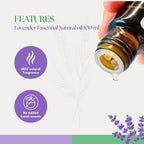 Roots & Above 100ml Pure Lavender Essential Oil – 99% Natural for Candle Making, Soap Making, Diffusers, Humidifiers, Massage, Skin & Hair Care