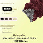 Clip in Hair Extensions Real Human Hair Body Wave 99J Burgundy Clip in 100% Brazilian Remy Human Hair Extensions 8pcs Per Set with 18 Clips Double Weft 20 Inch 105g/3.6oz