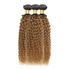 Ombre Bundles Human Hair 1B27 Kinky Curly Bundle Brazilian Virgin Remy Hair 3 Bundles 22 24 26 Inch Double Weft 2 Tone Black and Honey Blonde Kinky Curly Bundle Hair Weave 300g