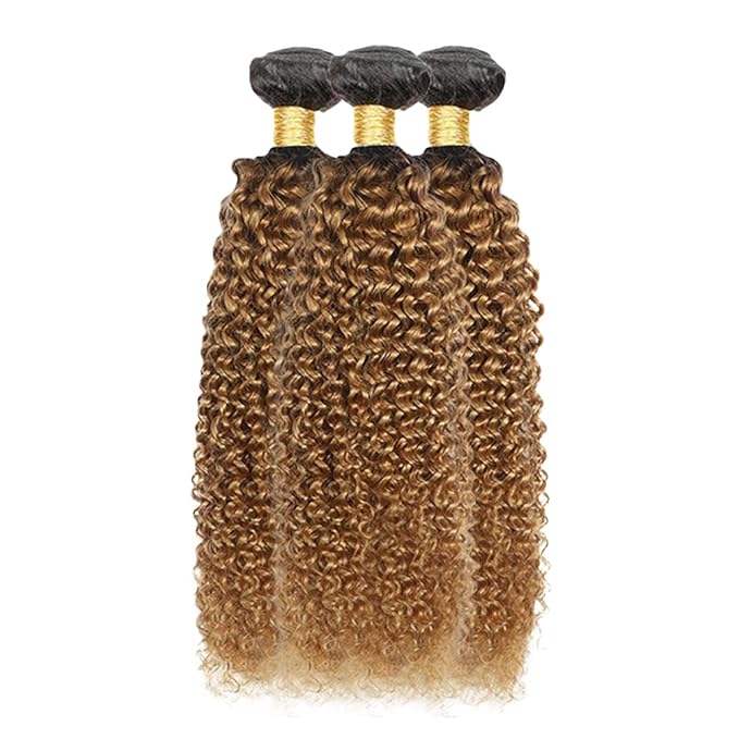 Ombre Bundles Human Hair 1B27 Kinky Curly Bundle Brazilian Virgin Remy Hair 3 Bundles 22 24 26 Inch Double Weft 2 Tone Black and Honey Blonde Kinky Curly Bundle Hair Weave 300g