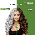 Brown Hair Dye Shampoo for 100% Gray Coverage - 3 IN 1 Hair Color Shampoo with Argan Oil & Ginseng, Ammonia & Paraben Free, Long Lasting Semi-Permanent Natural Color for Women & Men (500ml)