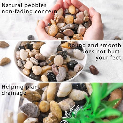 DomeStar River Rocks for Landscaping, 2lb Decorative Ornamental Pebbles Garden - Image 3
