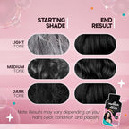 Herbishh Bubble Foam Hair Dye Shampoo, 3 in 1 Dye for 100% Grey Coverage, Permanent & Instant Hair Coloring for Men & Women, Long-lasting & Travel-friendly, Ammonia-free, 10 Sachet x 24 ml (Black)