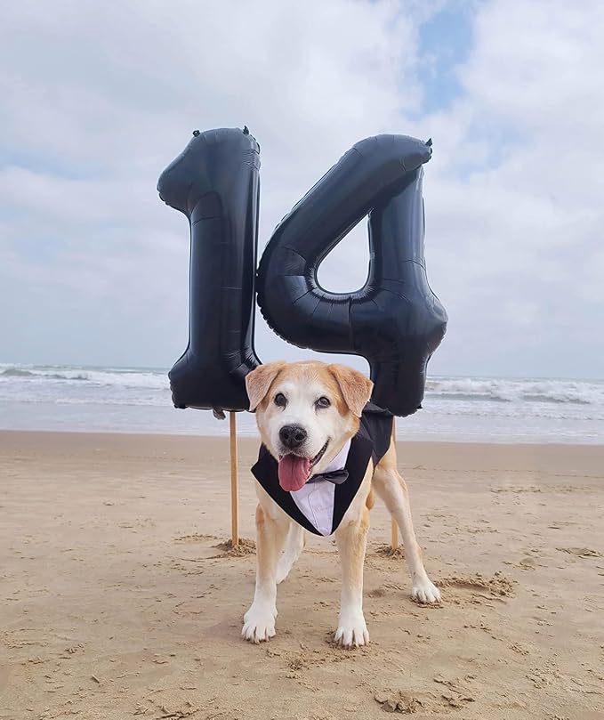 4 Balloon Numbers Party Decorations, 40In Black Balloons - Image 4