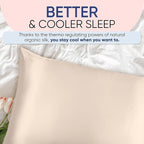 Blissy Silk Pillowcase - 100% Pure Mulberry Silk - 22 Momme 6A High-Grade Fibers - Silk Pillow Cover for Hair & Skin - Regular, Queen & King (Champagne, Queen)