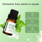 Peppermint Essential Oil Blend, Mint Oil, Essential Oils Organic, Hair Growth & Scalp Care, Essential Oils for Diffusers for Home 10ML