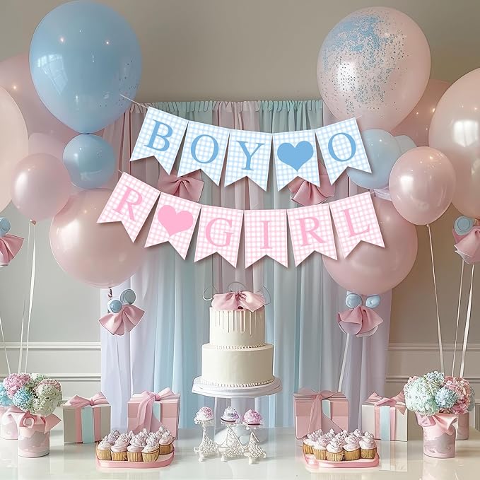 Hahafelt 1 Pcs Blue Pink Gingham Boy or Girl Banner - Image 7