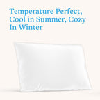 White Silk Pillow Case, Fits Standard Queen Pillow, 100% Mulberry Silk Pillowcase 22mm, 6H High-Grade Fibers, 100% Silk Pillowcase for Healthy Skin & Hair