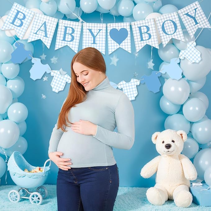 Hahafelt 1 Pcs Blue Gingham Baby Boy Banner - Image 4