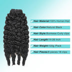 Burmese Curly Clip In Hair Extensions Real Human Hair 8pcs 120g/Set Spirally Curly Classic Clips Ins Full Head For Black Women 24 Inch Natural Black
