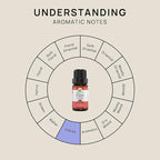 VINEVIDA Pink Grapefruit Essential Oil 10 mL - Pure, Undiluted Grapefruit Oil for DIY Candle Scents and Topical Use