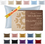 25 Momme Premium Mulberry Silk Pillowcase for Hair and Skin | Handcrafted Hypoallergenic & Anti-Acne Silk Pillow Cases with Zipper | Queen - 20" x 30", Silver Lining