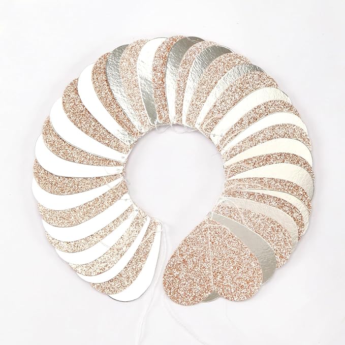 Champagne-Silver Disco Boho Party-Decoration Heart Garland - 52ft Glitter - Image 3