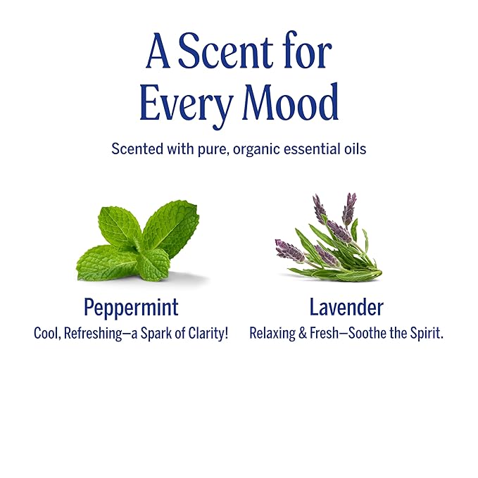 Dr. Bronner's Organic Hair Crème Leave-In Conditioner Styling Cream Anti Frizz Hair Product for Women & Men Hair Cream USDA Organic, Cruelty Free, Lavender Coconut & Peppermint - 6oz 2 Pack