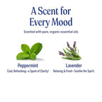 Dr. Bronner's Organic Hair Crème Leave-In Conditioner Styling Cream Anti Frizz Hair Product for Women & Men Hair Cream USDA Organic, Cruelty Free, Lavender Coconut & Peppermint - 6oz 2 Pack