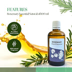 Roots & Above 3.38 Oz Pure Rosemary Essential Oil – 99% Aroma Natural Oil for Skin, Hair, Massage, Diffusers, Humidifiers, Self-Care, DIY Beauty, Candle & Soap Making