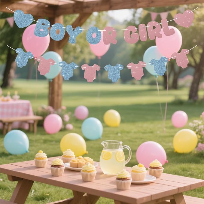 Glitter Pink and Blue Gender Reveal Decorations, Pre-Strung Boy or Girl Banner - Image 4