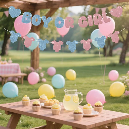 Glitter Pink and Blue Gender Reveal Decorations, Pre-Strung Boy or Girl Banner - Image 4