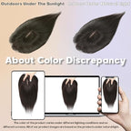 Hair Toppers for Women Real Human Hair-U Shape Toppers Hair Pieces for Women with Thinning Hairr 150% Density Silk Base Clip in Human Topper with Bangs for Daily Use(Brown Black-1B