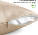 ALASKA BEAR Natural Silk Pillowcase, Hypoallergenic, 19 Momme, 600 Thread Count 100 Percent Mulberry Silk, Queen Size with Hidden Zipper (1,Champagne Gold)