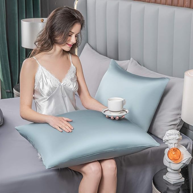 2 Pcs Mulberry Silk Pillowcase for Hair and Skin,Cooling Silk Pillow Case with Hidden Zipper,Allergen Proof Dual Sides Soft Breathable Smooth Silk Pillow Cover for Women.(Standard-2PCS,Aqua Blue)