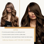 Brown Hair Dye Shampoo, Hair Color Shampoo for Women Men, Long Lasting Brown Hair Dye, Champu Para Pintar el Cabello, Colors in Minutes, Easy to Use, 16.90 Fl