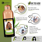 HERBBY Hair Color Shampoo for Gray Hair Coverage&Color Transform with 9 Herbal Extracts –Long Lasting(6-8 Weeks),Shiny,Evenly Colored,Instant Hair Dye Shampoo&Conditioner,500 Ml (GINGER CARAMEL COLOR)