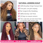 bangjazz 13x4 Deep Wave Lace Front Wigs Human Hair Highlight Ombre 13x4 HD Transparent Lace Frontal Wigs Human Hair 180% Density P4/27 Colored Glueless Curly Wigs for Black Women 20 Inch