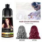 Herbishh Burgundy 3 in 1 Hair Dye Shampoo Keratin & Argan Oil Hair Mask for Dry Damaged Hair 800 ML
