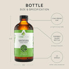 VINEVIDA Ravensara Essential Oil 4 oz - Undiluted, Pure, Vegan, and Sustainable