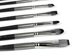 ADIS&Guys 10-Piece Professional Face & Body Painting Brush Set – Ideal for Acrylic, Oil & Watercolors, Perfect for Artists & Kids
