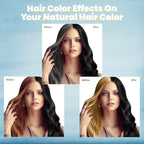 Black Hair Dye 3 in 1 Shampoo for Gray Hair, Herbal Ingredients for Women&Men, Dye in Minutes/Semi-Permanent/(17.6 FL OZ)