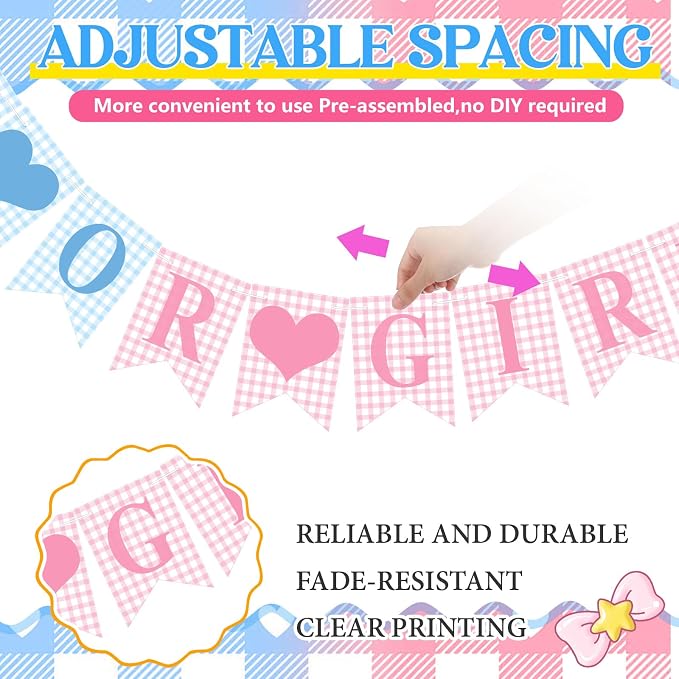 Hahafelt 1 Pcs Blue Pink Gingham Boy or Girl Clothesline Bodysuit Banner - Image 3