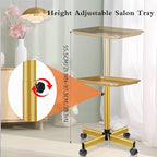 Salon Tray on Wheels Tattoo Rolling Tray Salon Service Cart Height Adjustble Hair Service Color Tray Gold