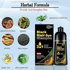 Black Hair Color Shampoo for Gray Coverage - New Upgrade 3-in-1 Herbal Long-Lasting Formula for Women & Men