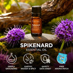 Gya Labs Spikenard Essential Oil - 0.34 Fl Oz - for Hair, Skin, Diffuser, Aromatherapy & DIY Candle Making Scent