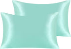 NTBAY 2 Pack Satin Queen Pillowcases for Hair and Skin, Luxurious and Silky Pillow Cases with Envelope Closure, 20x30 Inches, Light Blue