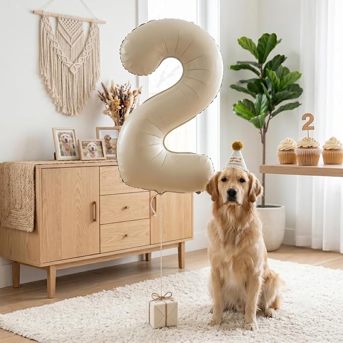 CARGEN 40 Inch Creamy White Number 2 Balloon Boho Neutral Party Decoration | - Image 4