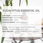 Eucalyptus Essential Oil, Premium Grade Pure Eucalyptus Oils 100ML, 100% Natural Aromatherapy Essential Oil for Shower, Hair, Skin, Diffuser, Massage, Candle, Soap, Bath Bombs Making